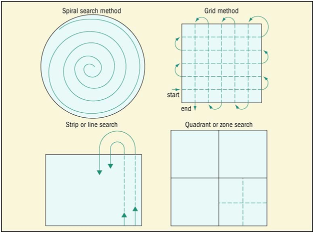 grid-search-pattern-130103-8392200