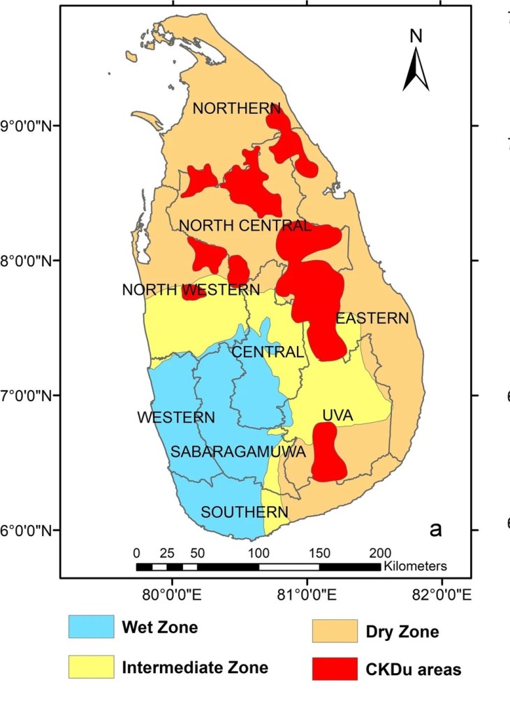 13412_2022_780_fig1_html.jpg?w=730